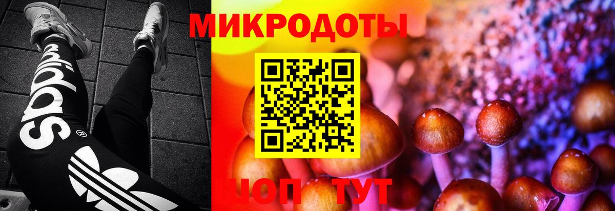 Галлюциногенные грибы MAGIC MUSHROOMS Юрга